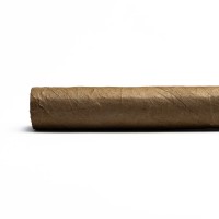 AVO XO Legato Toro Cigar - 1 Single